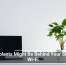 Houseplants Might Be Behind Your Sluggish Wi-Fi