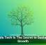 Scalable Tech Is The Secret to Sustainable Growth